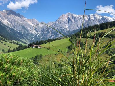 Blick von Terrasse