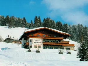 Ferienwohnung für 4 Personen (55 m²) in Maria Alm am Steinernen Meer