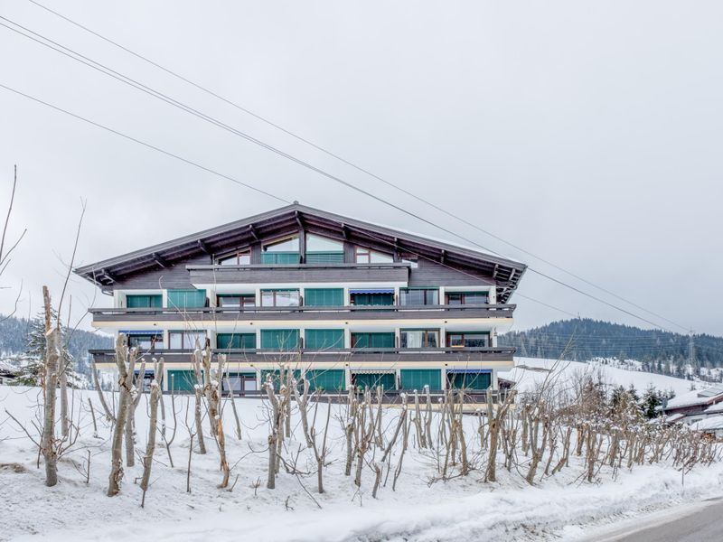 23939311-Ferienwohnung-7-Maria Alm am Steinernen Meer-800x600-1