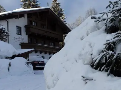 Ferienwohnung für 2 Personen (30 m²) in Maria Alm am Steinernen Meer 6/10