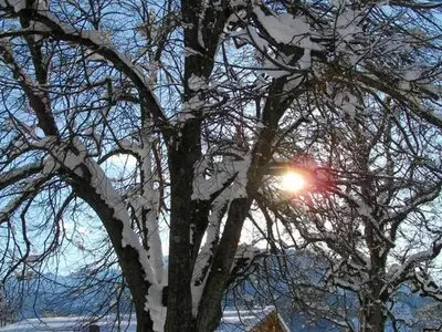 Ferienwohnung für 2 Personen (30 m²) in Maria Alm am Steinernen Meer 9/10