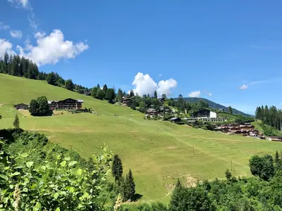 Bachwinkl aus der Ferne