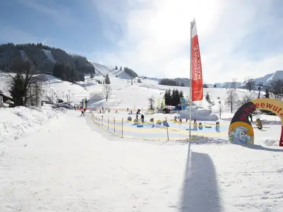 AreaWinter1KM
