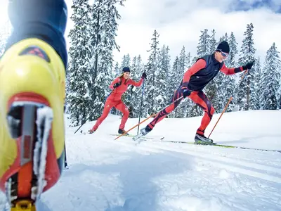 AreaWinter1KM
