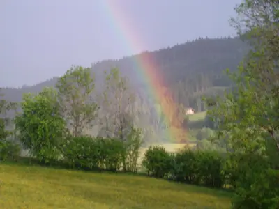 Sommerliches Farbenspiel