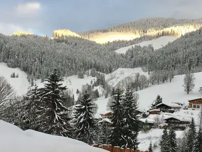 Handleralm Talblick