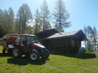 Ferienwohnung für 3 Personen (40 m²) in Maria Luggau 9/10