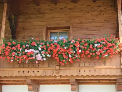Ferienwohnung für 3 Personen (50 m²) in Maria Luggau 9/10