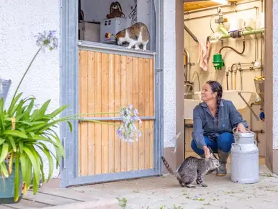 Ferienwohnung für 2 Personen (40 m²) in Maria Luggau 1/10