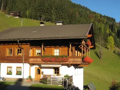 Ferienwohnung für 3 Personen (50 m²) in Maria Luggau 1/10