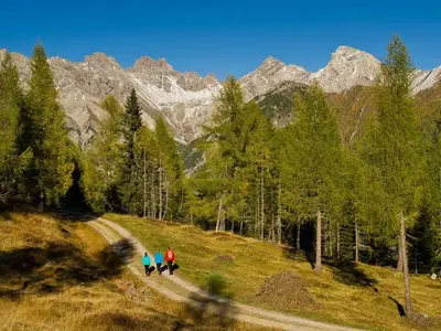 Ferienwohnung für 3 Personen (50 m²) in Maria Luggau 8/10