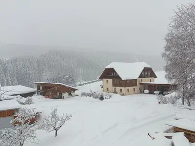 Ferienwohnung für 4 Personen in Mariahof 7/10