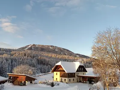 Ferienwohnung für 4 Personen in Mariahof 10/10