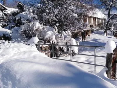 Ferienwohnung für 5 Personen (50 m²) in Mariahof 2/10