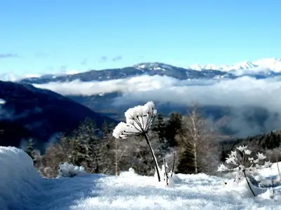 Ferienwohnung für 5 Personen (50 m²) in Mariahof 7/10