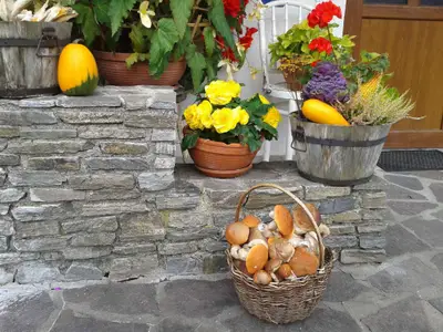 Ferienwohnung für 5 Personen (70 m²) in Mariánská 9/10