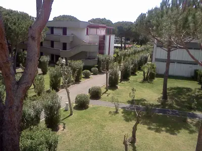Ferienwohnung für 6 Personen (50 m²) in Marina Di Bibbona 10/10