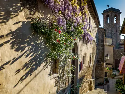 Ferienwohnung für 6 Personen (50 m²) in Marina Di Bibbona 10/10