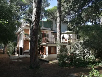 Bild 7