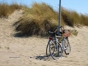 23091133-Ferienwohnung-4-Marina Di Grosseto-300x225-0