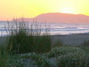 23091413-Ferienwohnung-8-Marina Di Grosseto-300x225-5