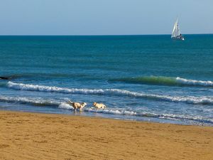 24024202-Ferienwohnung-4-Marina Di Ragusa-300x225-1