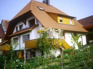 Ferienwohnung für 3 Personen (60 m²) in Markdorf