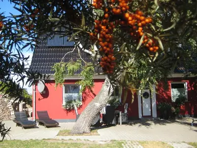 Ferienwohnung für 4 Personen (100 m²) in Rostock 2/10