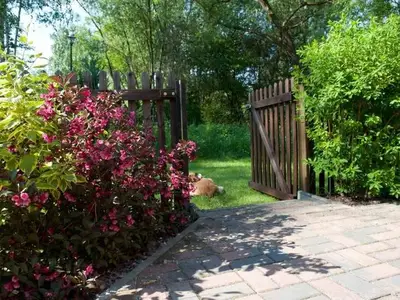 Ferienwohnung für 4 Personen (40 m²) in Märkische Heide 2/10