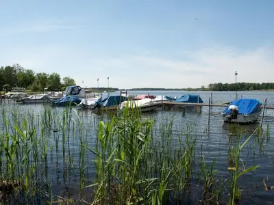 Ferienwohnung für 4 Personen (40 m²) in Märkische Heide 3/10