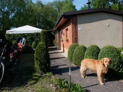 Ferienwohnung für 4 Personen (40 m²) in Märkische Heide 4/10