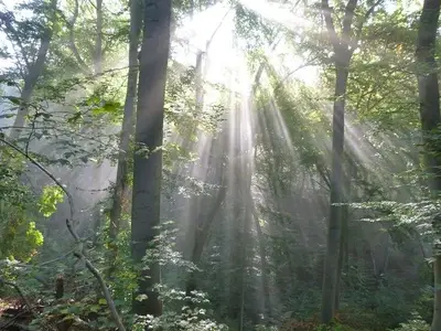 Ferienwohnung für 4 Personen (40 m²) in Märkische Heide 10/10