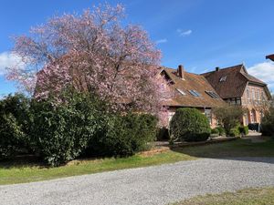 Ferienwohnung für 5 Personen (65 m&sup2;) in Marklendorf