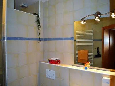 Ferienwohnung für 4 Personen (40 m²) in Markt Einersheim 8/10