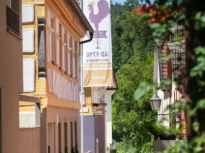 Ferienwohnung für 2 Personen (25 m²) in Marktheidenfeld 2/10