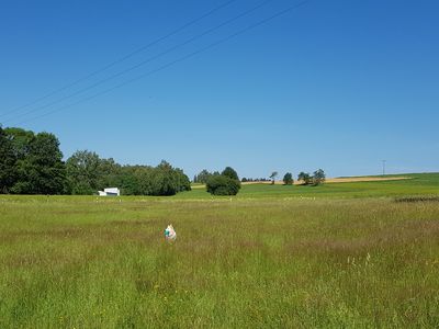 Wiese am Haus