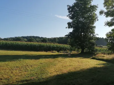 Ferienwohnung für 4 Personen in Marktleugast 5/10