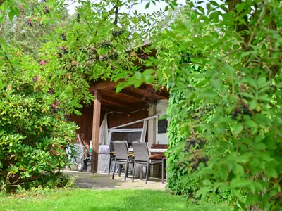 Garten [Sommer]
