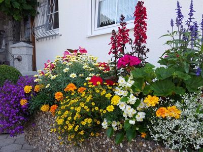 Blumenpracht im Garten