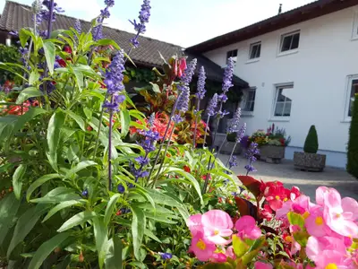 Einfahrt zum Haus