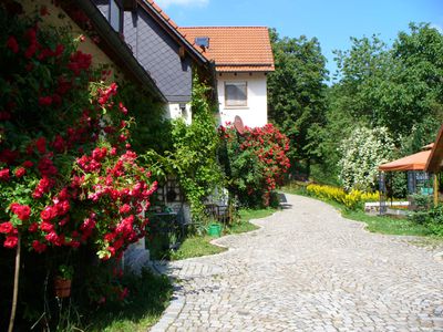 Schlossberghof Blütenpracht