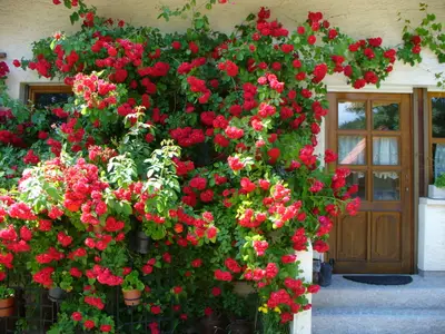 Ferienwohnung für 6 Personen in Marktrodach 2/8