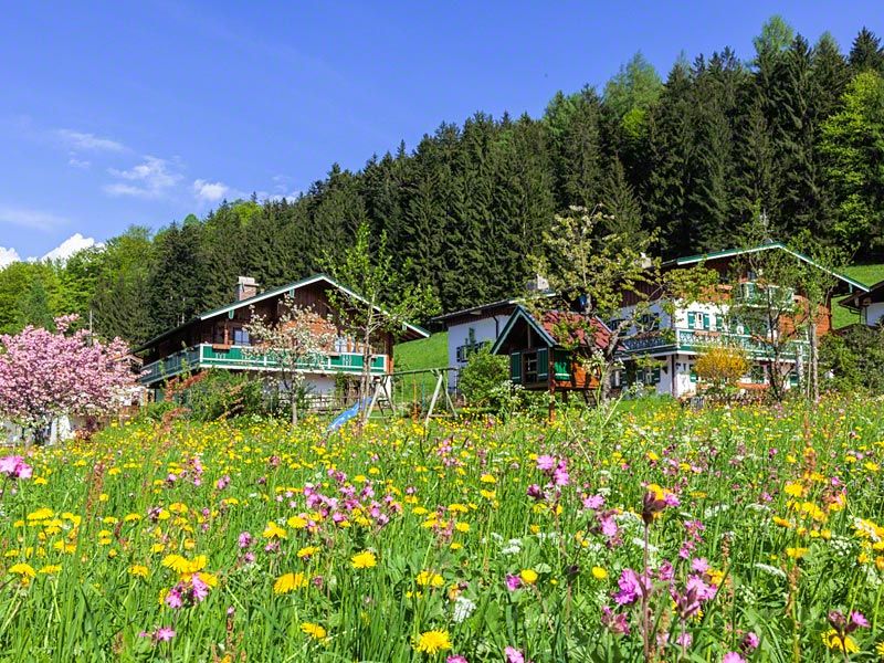 92706-Ferienwohnung-4-Marktschellenberg-800x600-2