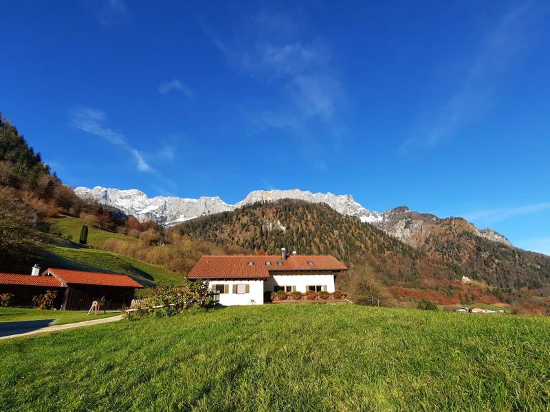 23311569-Ferienwohnung-4-Marktschellenberg-800x600-1