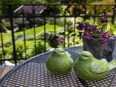 Ferienwohnung Terasse