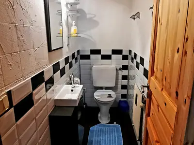 Gäste-WC mit Dusche