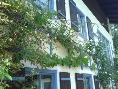 Ferienwohnung für 2 Personen (40 m²) in Marktschellenberg 1/6