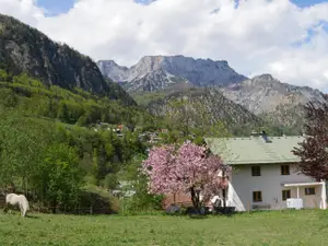 Ferienwohnung für 4 Personen (47 m²) in Marktschellenberg