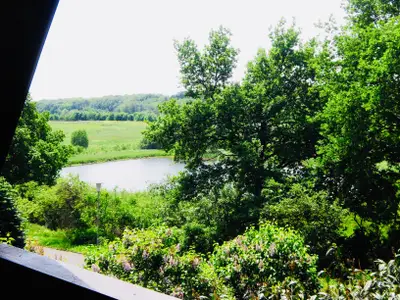 Landschaft