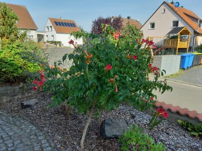 Ausblick von der Weinecke